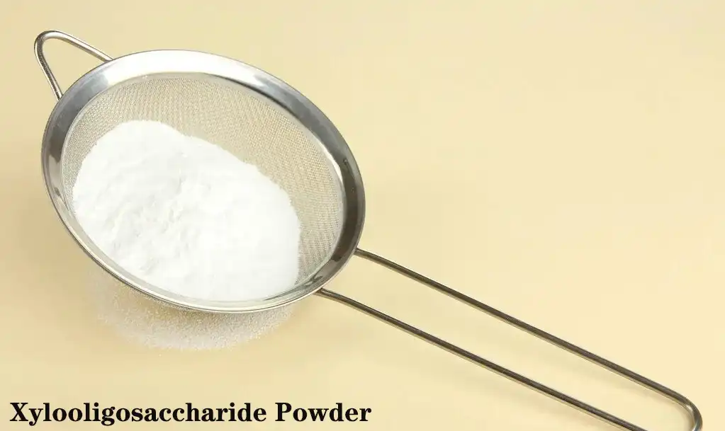 Xylooligosaccharide Powder.jpg